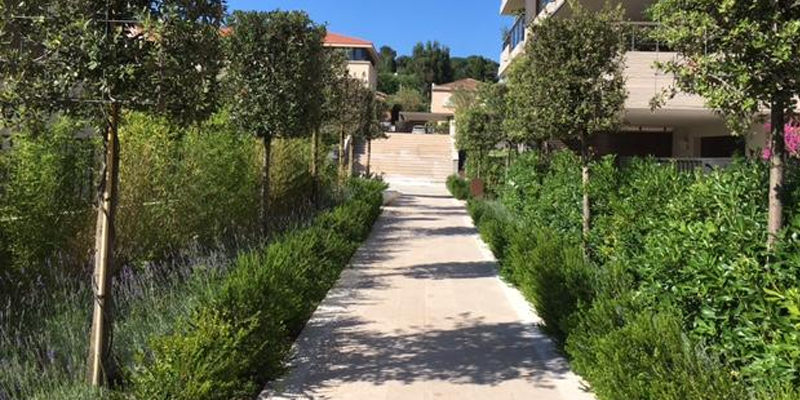 Plantation et arrosage automatique à Saint-Tropez